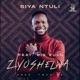 Zyoshelwa feat Big Zulu Single