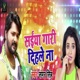 Saiya Gaari Dihle Na Single