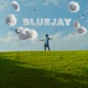 Bluejay Single