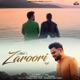 Zaroori Lofi Single