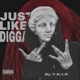 Just Like Digga Single