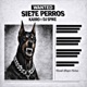 SIE7E PERROS Single