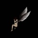 Fallen Angel Single