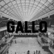 Gallo Single