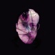 Nervensystem Single