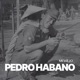 Mi Viejo Single