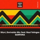 Sanfona with Dorivaldo Mix feat Raul Tolingas Single