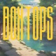 Box Tops Single