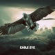 Eagle Eye Single