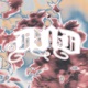 Dnd Single