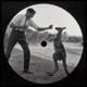 Kangaroo Sunset Single