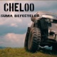 Suma Defectelor Single