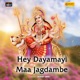 Hey Dayamayi Maa Jagdambe Single