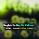 Raghle De Haj Na Pakhair Single