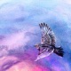 Rise with the Lark Single