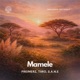 Mamele Single