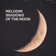 Shadows Of The Moon Radio Edit Single