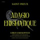 Adagio Enigmatique Single