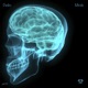 Minds Single