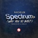Spectrum Why You So Bad Single