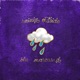 Rainin Outside feat Blu Single