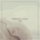 Perfect Love Single