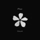 Please feat Aden Single