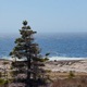 cape breton Single