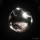 Disco in the Morning Single