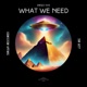 What We Need Single