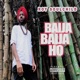 Baija Baija Ho Single