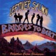 Bridges to Bert