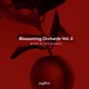 Blossoming Orchards Vol 2 DJ Mix