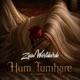 Hum Tumhare Single
