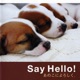 Say Hello あのこによろしく オリジナル サウンドトラック