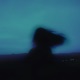 sleepwalking Single