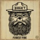 Forest Fire Single