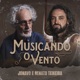 Musicando o Vento Single