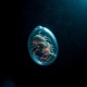 Abyssal Isolation Single