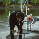 No Rest Single