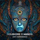 DMT Experience Single