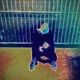 Memory Bank EP