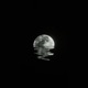 Moonlight Single