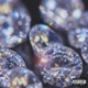 Diamonds Single