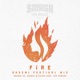 Fire Festival Mix feat Ido Dankner Single