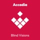 Blind Visions