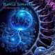 12 Dimensions