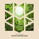 Entity Extraction Single
