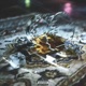 滥情 Single