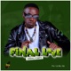 Final Love Single